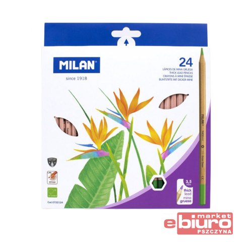 KREDKI METALIZOWANE SZEŚCIOKĄTNE 24 KOLORÓW