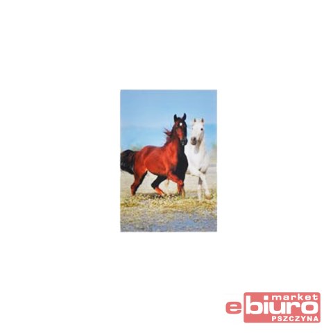 NOTES MFP MINI KONIE 35 KARTEK