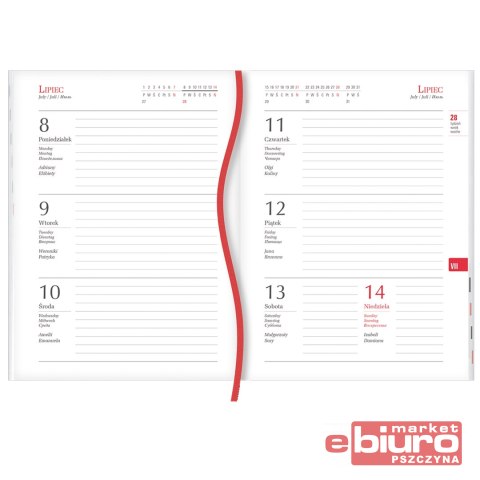 KALENDARZ TERMINARZ OLA T-212F-01 A6 MICHALCZYK