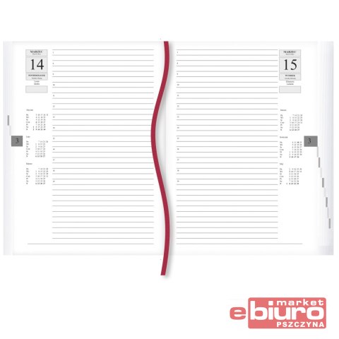 TERMINARZ ASYSTENT T-237C-Z2 MICHALCZYK