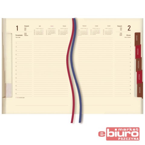 TERMINARZ KONSUL T-243N-58 MICHALCZYK