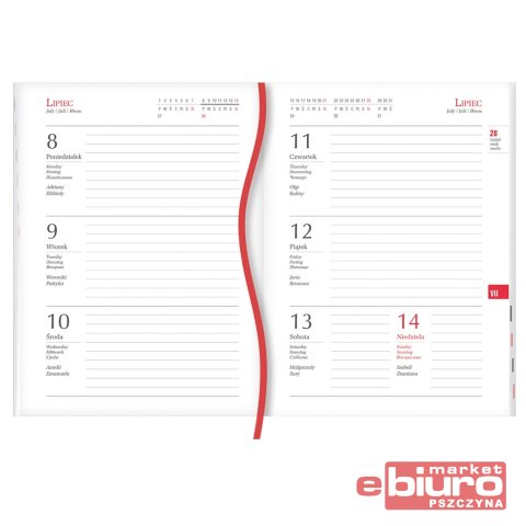 TERMINARZ OLA T-212V-W MICHALCZYK