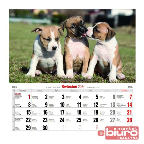 KALENDARZ ŚCIENNY DUŻY KD-20 PSY AVANTI