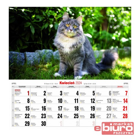 KALENDARZ ŚCIENNY DUŻY KD-21 KOTY AVANTI