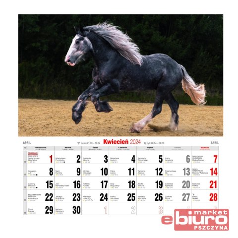 KALENDARZ ŚCIENNY DUŻY KD-22 KONIE AVANTI