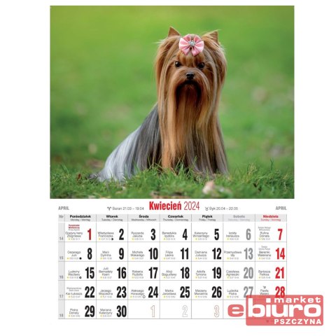 KALENDARZ ŚCIENNY MAŁY KSM 3 PSY AVANTI