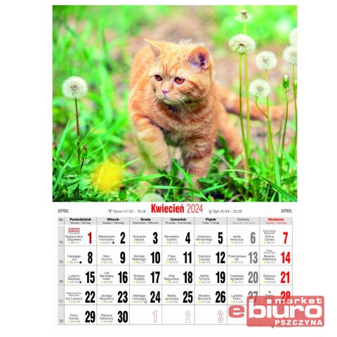 KALENDARZ ŚCIENNY MAŁY KSM 4 KOTY AVANTI