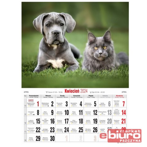 KALENDARZ ŚCIENNY MAŁY KSM 7 PRZYJACIELE AVANTI