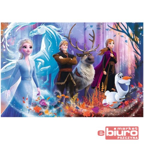 PUZZLE 100 MAGIA KRAINY LODU 16366 TREF