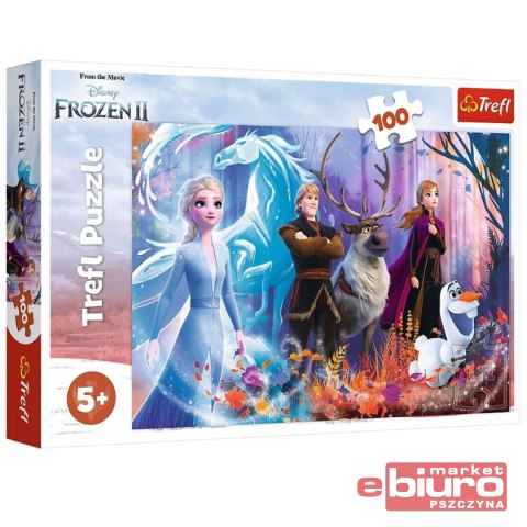 PUZZLE 100 MAGIA KRAINY LODU 16366 TREF