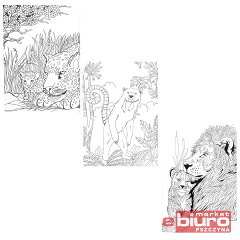 KOLOROWANKA ANTYSTRESOWA W LESIE 5301150