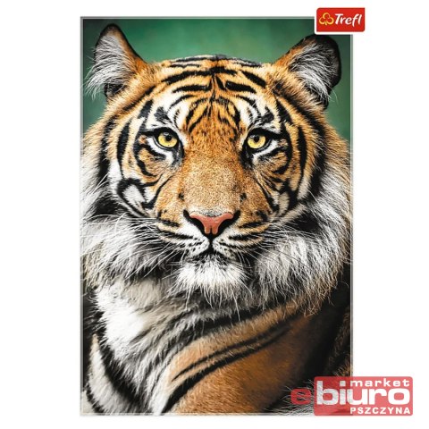 PUZZLE 1500 PORTRET TYGRYSA 26204 TREFL