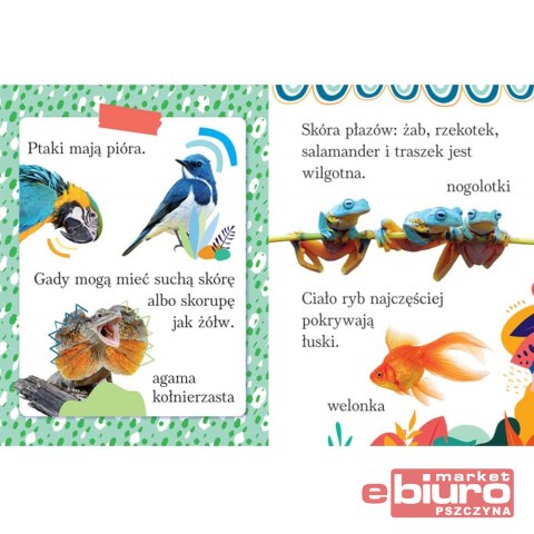 TAJEMNICE PRZYRODY TAJEMNICE ZWIERZAT