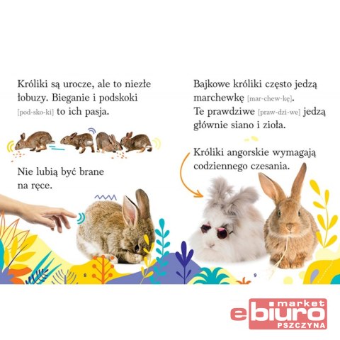 ZWIERZĘTA DOMOWE.WYRAZY I ZADANIA DO NAUKI CZYTAN