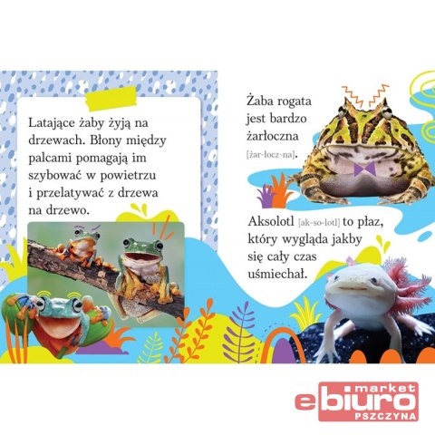 ZWIERZĘTA EGZOTYCZNE. WYRAZY I ZDANIA DO NAUKI CZY