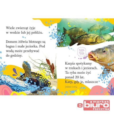 ZWIERZĘTA POLSKI.WYRAZY I ZDANIA DO NAUKI CZYTANIA