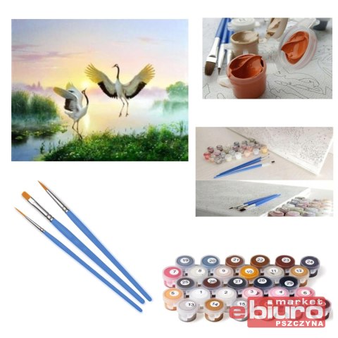 MALOWANIE PO NR. ŻURAWIE W STAWIE NORIMPEX