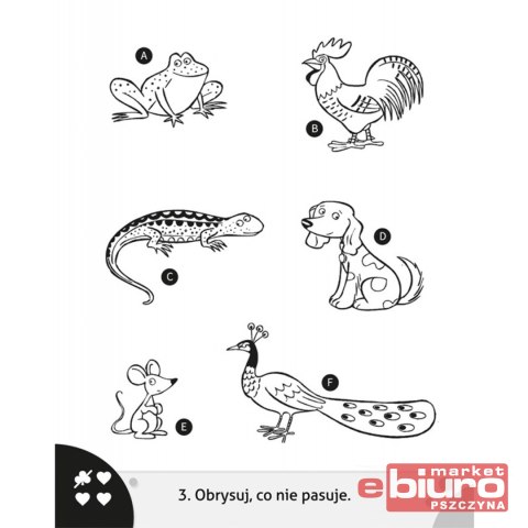 GŁÓWKUJĘ Z OŁÓWKIEM. POMARAŃCZOWA