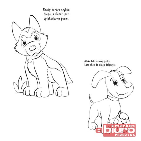 MOJA KOLOROWANKA PIESKI NIKO