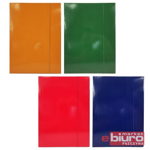 TECZKA LAKIEROWANA MIX KOLORÓW ALIGA TL100 A'10