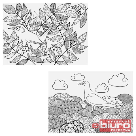 KOLOROWANKA ANTYSTRESOWA PTAKI A5 MFP