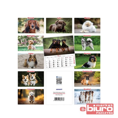 KALENDARZ ŚCIENNY DUŻY KD-20 PSY AVANTI