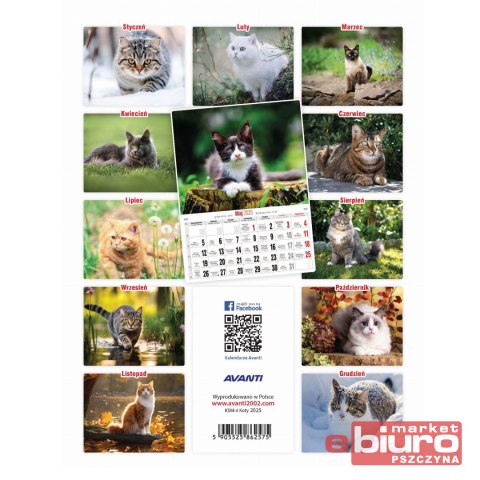 KALENDARZ ŚCIENNY MAŁY KSM 4 KOTY AVANTI
