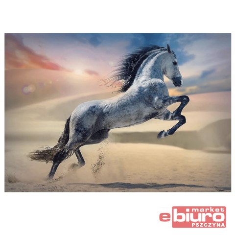 PUZZLE 1000 MAJESTATYCZNY KOŃ TREFL