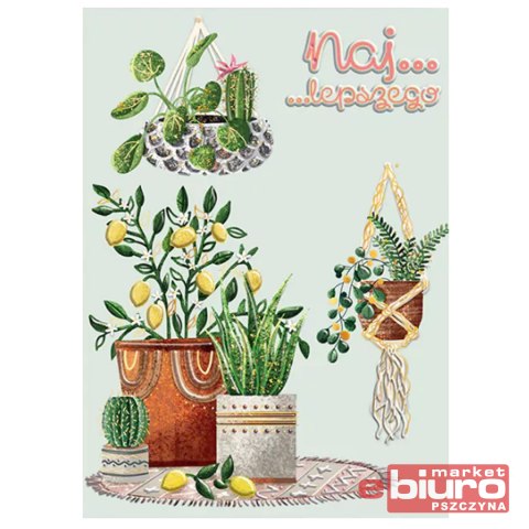 KARNET B6 KWIATY DONICZKOWE HENRY