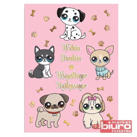 KARNET B6 PIESKI HENRY