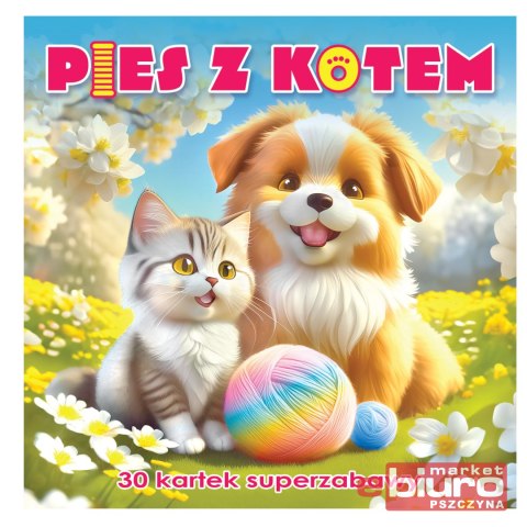 PIES Z KOTEM 30 KARTEK SUPERZABAWY MD