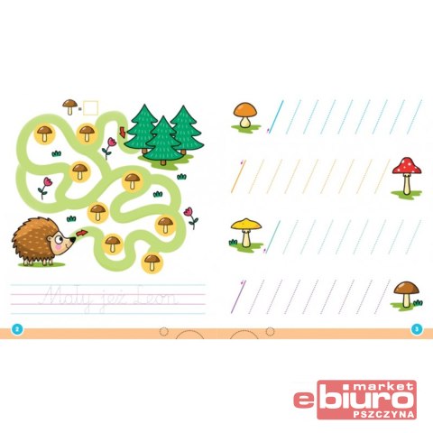 PISZĘ I RYSUJĘ Z KOTKIEM LABIRYNTY SZLACZKI RYSOWA