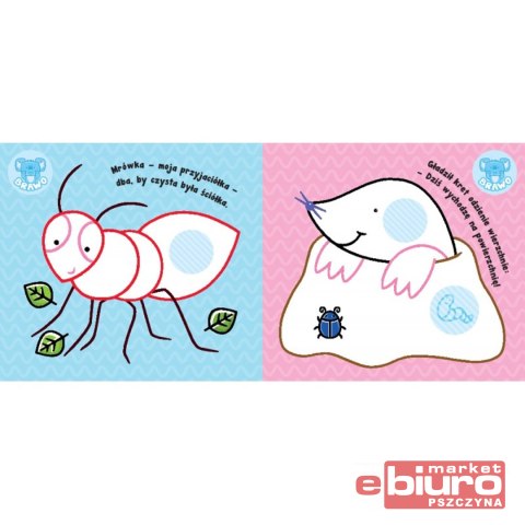 ZWIERZĘTA NA ŁĄCE.KOLOROWANKA Z GRUBYM OBRYSEM