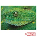 PUZZLE 250 COLOURFUL NATURE 4 SNAKE INT
