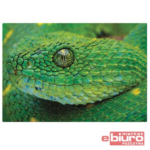 PUZZLE 250 COLOURFUL NATURE 4 SNAKE INT