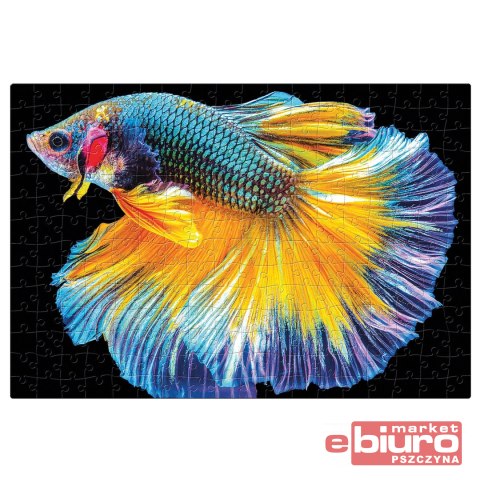 PUZZLE 250 COLOURFUL NATURE 6 FISH INT