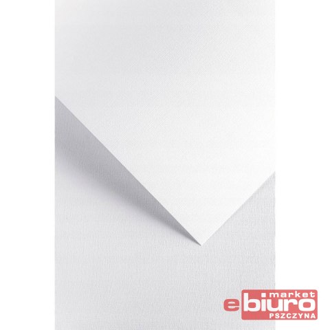 KARTON OZDOBNY LEN BIAŁY 20SZT 220G GALERIA PAPIERU