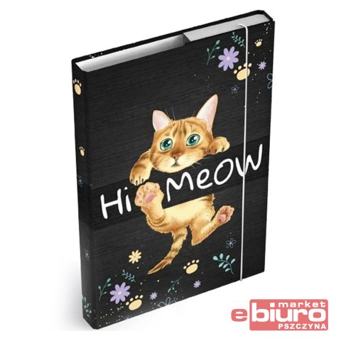 TECZKA SKRZYDŁOWA Z GUMKĄ MFP BOX A4 KOT