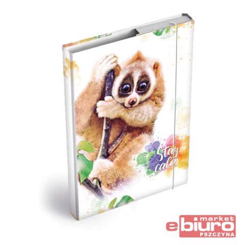 TECZKA SKRZYDŁOWA Z GUMKĄ MFP BOX A4 LEMUR