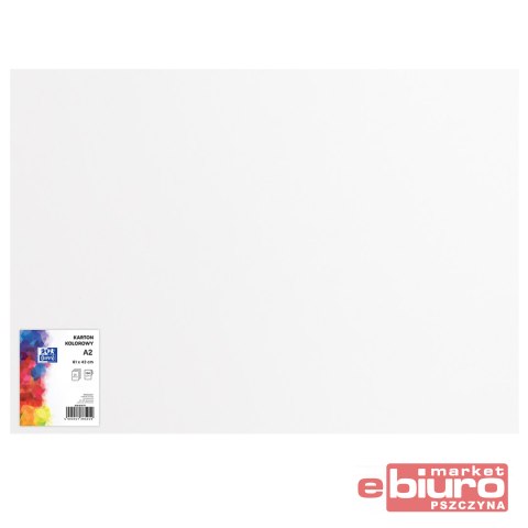 KARTON OXF A2 160G BIAŁY