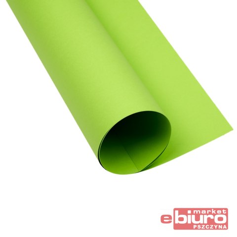 KARTON OXF A3 160G 66 JASNOZIELONY