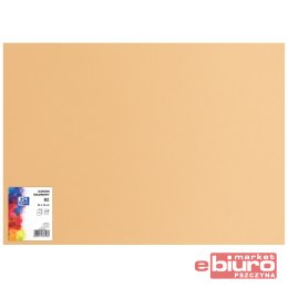KARTON OXF B2 225G 16 JASNO BRĄZOWY