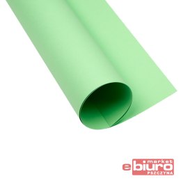 KARTON OXF B2 225G 63 CIEMNOZIELONY