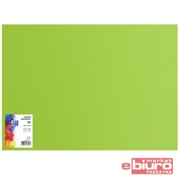 KARTON OXF B2 225G 66 JASNOZIELONY