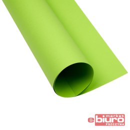 KARTON OXF B2 225G 66 JASNOZIELONY