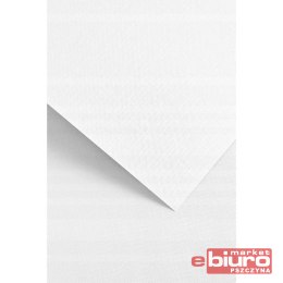 KARTON OZDOBNY RYPS BIAŁY 20SZT 180G GALERIA PAPIERU