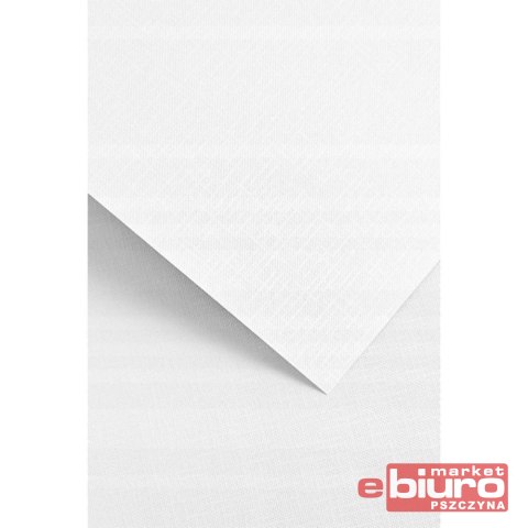 KARTON OZDOBNY RYPS BIAŁY 20SZT 180G GALERIA PAPIERU