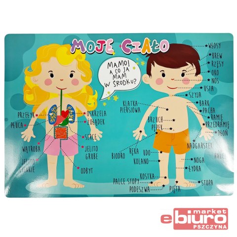 PODKŁAD B3 CIAŁO HENRY