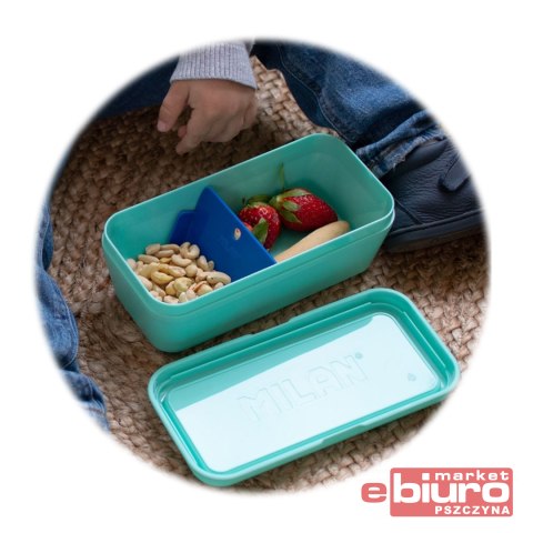POJEMNIK NA LUNCH PROST 0,75L KOLEK 085110Z460GR M