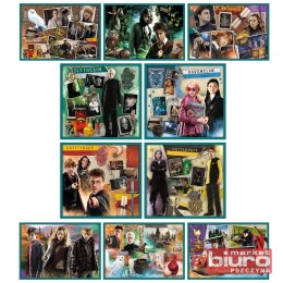 PUZZLE 10W1 W ŚWIECIE HARREGO POTTERA TREFL